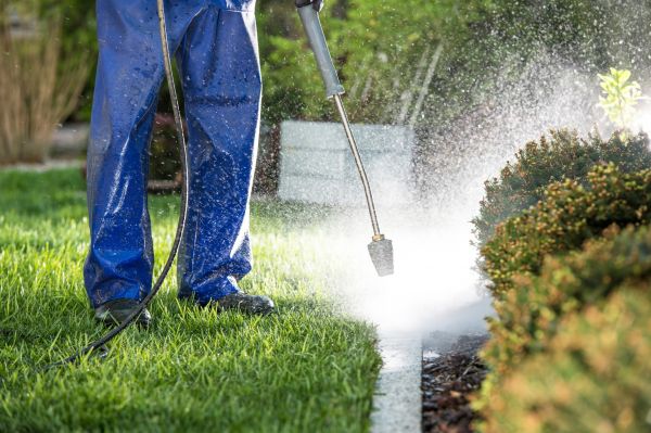 Cost of Curb Cleaning in Morgan Hill