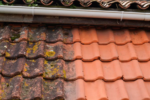 Industrial Roof Cleaning in Morgan Hill