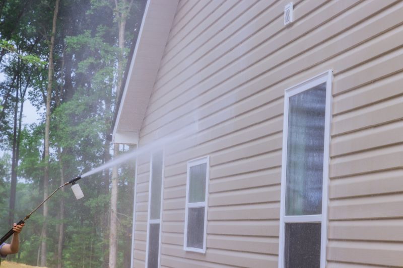 Cabin Power Washing